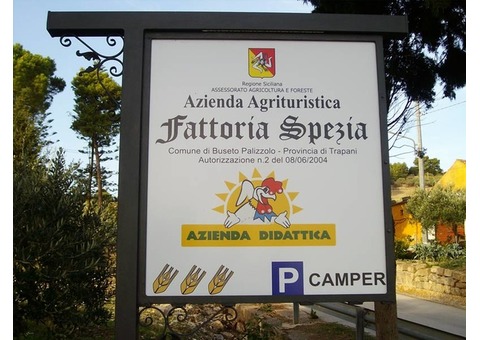 Fattoria Spezia