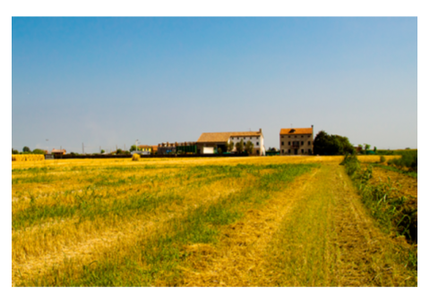 Agrimontalbano